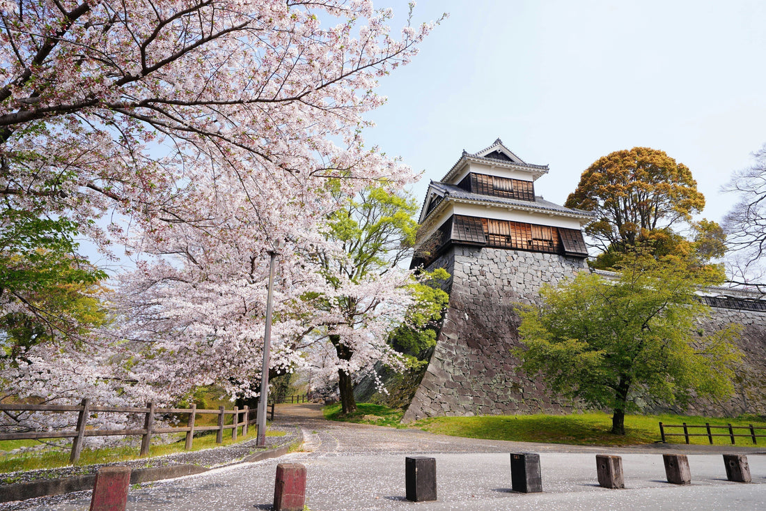 熊本県のウォーターサーバーおすすめ人気9選【2026年10月】安いサーバーはどれ？