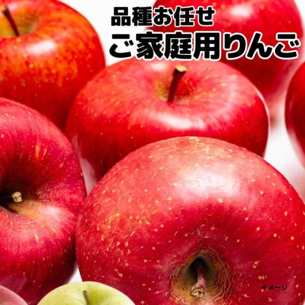 「訳あり 品種お任せりんご（津軽・サンフジ・シナノスイート・王林など）」