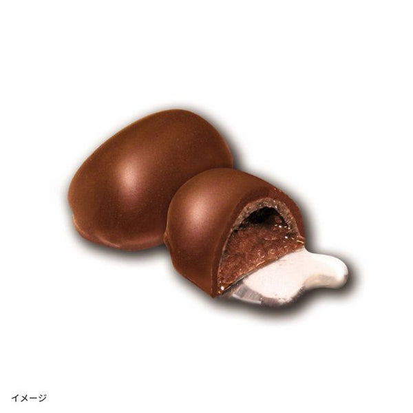「梅酒ボンボンチョコレート 緑茶の梅酒（和歌山）」