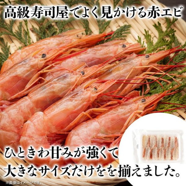 「お刺身用特大赤エビ」