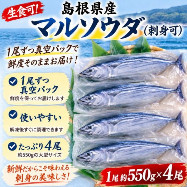 島根県産「マルソウダ（刺身可）」