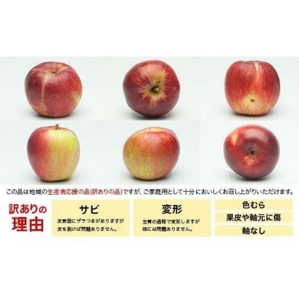 山形県産「りんご 訳ありご家庭用」