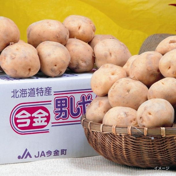 北海道今金産「男爵いも」