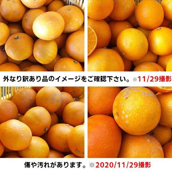 愛媛県産「外なり訳あり スイートまどんな」