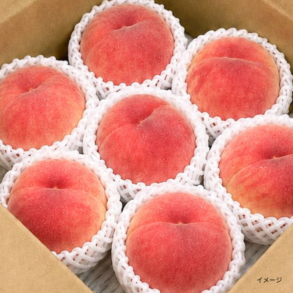 山形県産「川中島白桃 （秀品）」