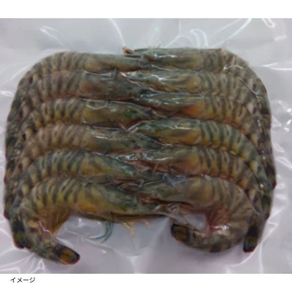 鹿児島県産「養殖 活き〆冷凍車海老 バラ11尾」