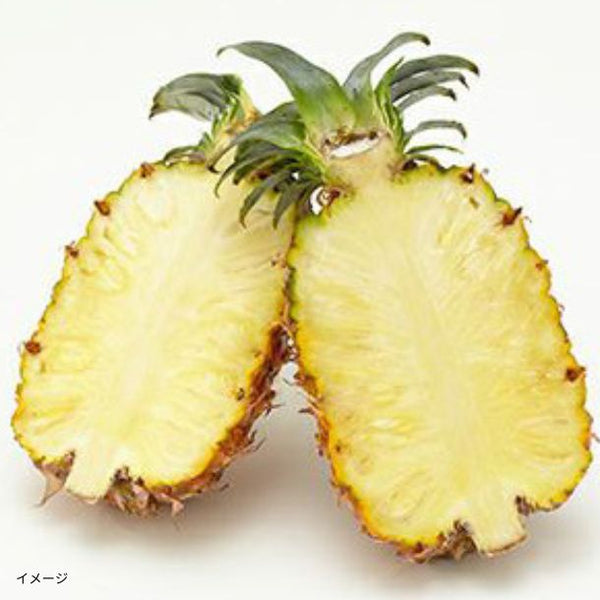 石垣島産「島パイン・ハワイ種（1～2玉）」約1kg【クラチャレふるさとだより】
