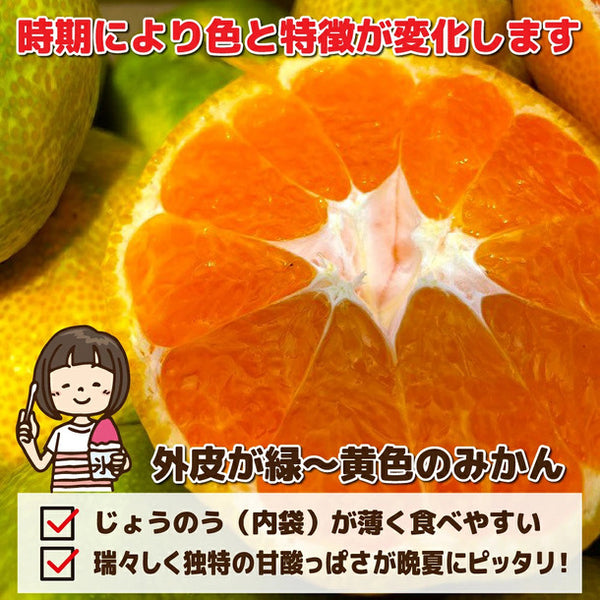 「産地おまかせ 特に訳ありみかん ジュース用・加工用」