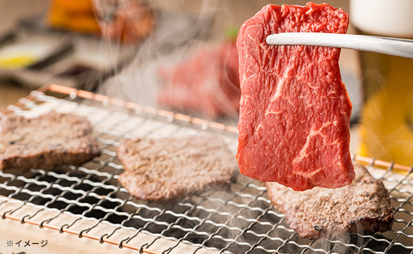「氷温R熟成肉 国産黒毛和牛焼肉（LH-W-Y045-1）」