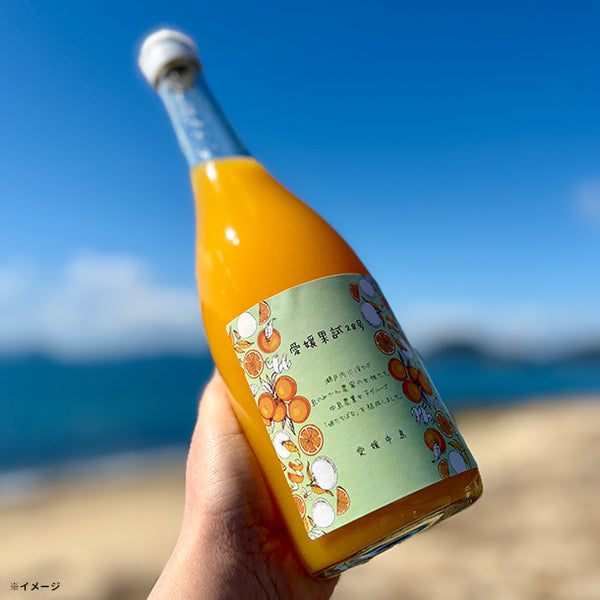 愛媛県産「愛媛果試28号（紅マドンナ）のみを絞ったみかんジュース」720ml×4本【クラチャレふるさとだより】