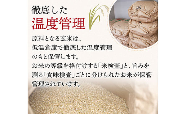 「令和8年産 山形県産 こしひかり」