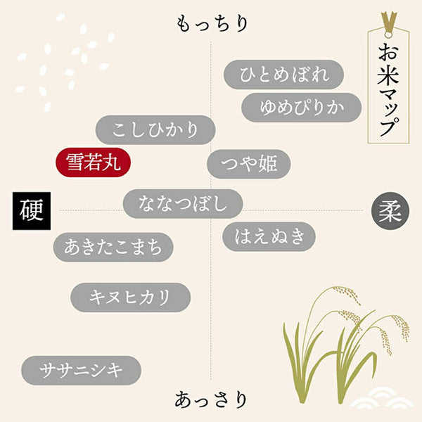 令和8年産「雪若丸」