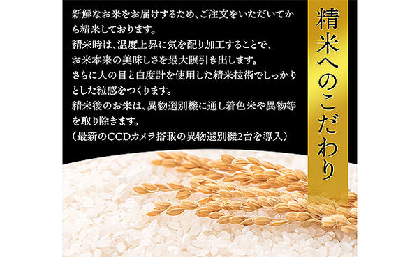 「令和8年産 山形県産 こしひかり」
