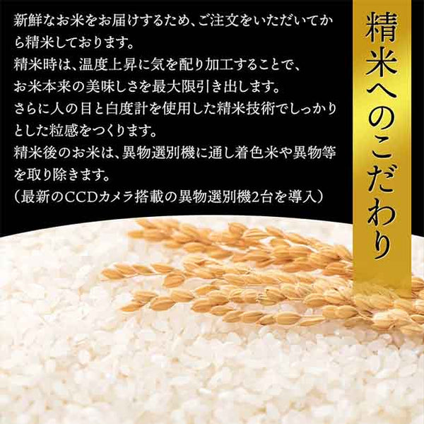 令和8年産「雪若丸」
