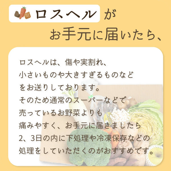 「ロスへル×Kuradashi わくわくロス野菜ボックス（M）」