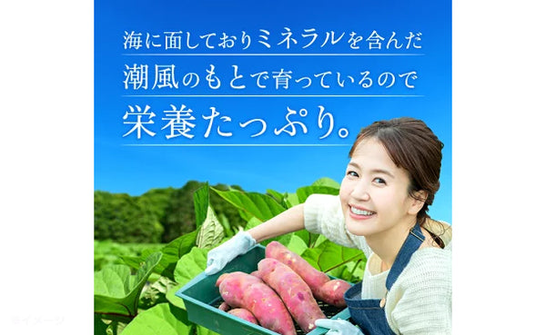 【初回限定】茨城県産「訳あり 干し芋」
