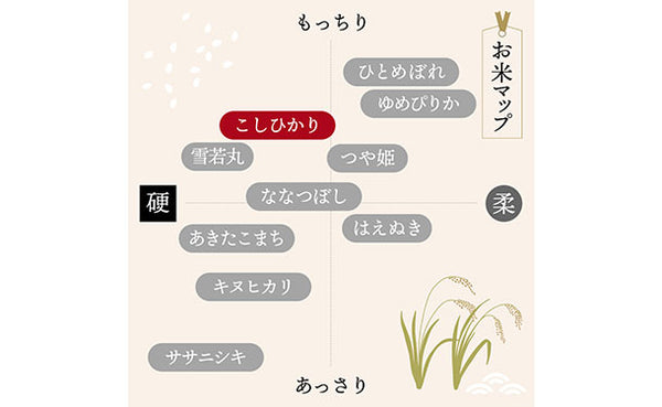 「令和8年産 山形県産 こしひかり」
