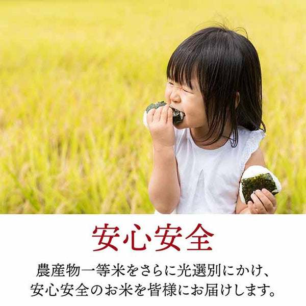 令和6年産「はえぬき 無洗米」