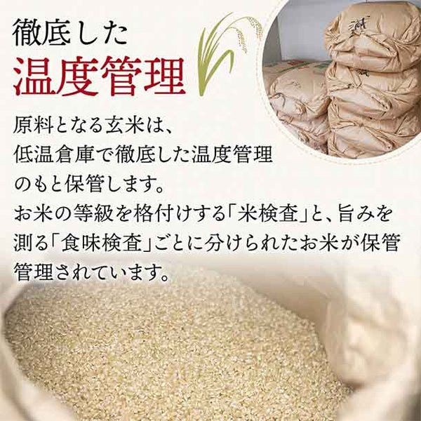 令和8年産「雪若丸」