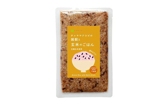 CHAYAマクロビ「週一マクロビ 1か月トライアルセット（カレー）」