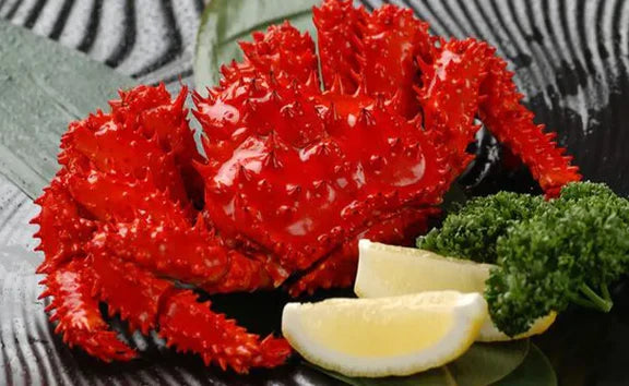 北海道根室産「脚折れ 花咲ガニ」約1.2kg（2～4尾）
