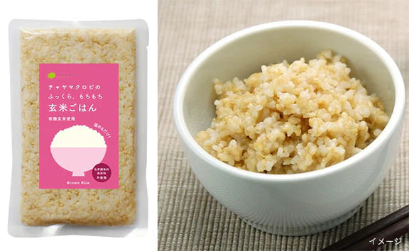 CHAYAマクロビ「シチュー3種＆玄米ごはん3種セット」