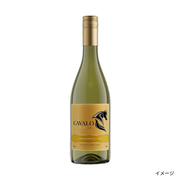 チリ産 白「カヴァロ シャルドネ」