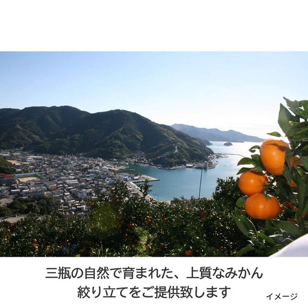 「愛媛温州みかんジュース ストレート」