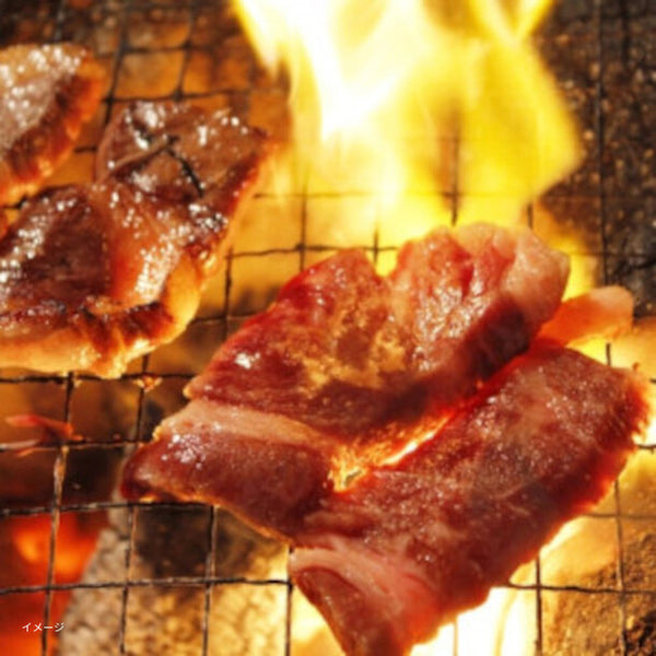 ウルグアイ産「グラスフェッドビーフ 焼き肉用 ハラミ」
