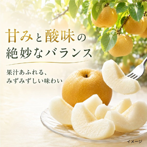 「産地リレー 梨 豊水」
