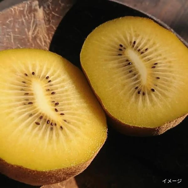 香川県産「秀品 さぬきゴールド キウイ 8～11個入」