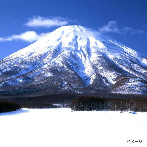 「北海道羊蹄山 名水珈琲ゼリー詰合せ MCJ-AE」