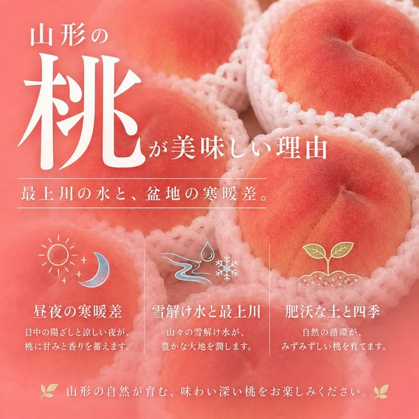 山形県産「川中島白桃 （秀品）」