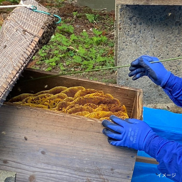 「日本ミツバチの蜂蜜 凛」