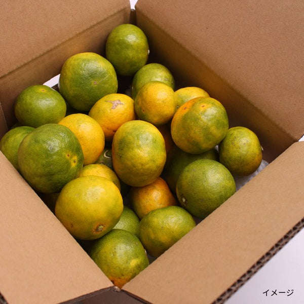和歌山県産「訳あり 極早生有田みかん キズあり・超小玉（3S以下中心）」