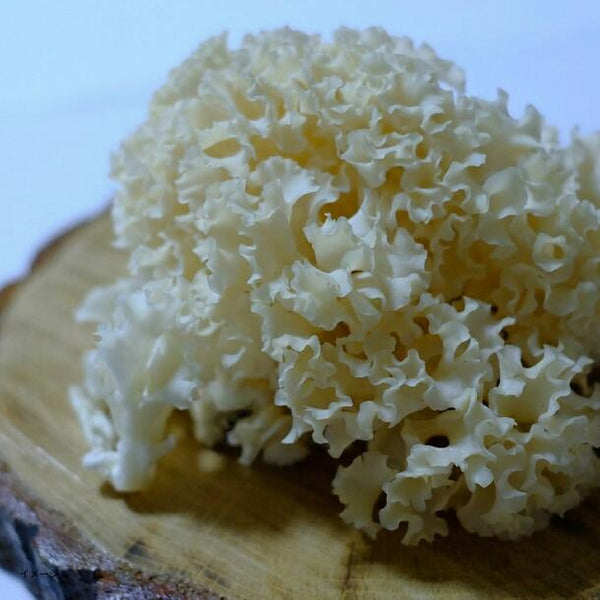 「花びら茸とキャベツのトマトスープ」