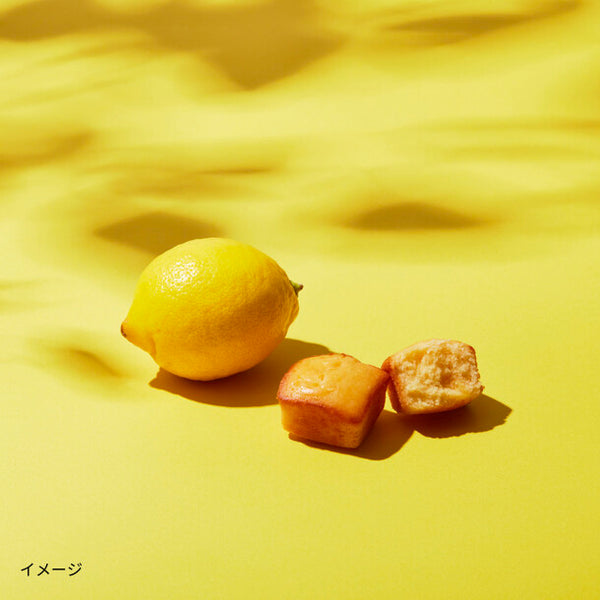 MILK STAR「MILK STAR ギフトBOX 」