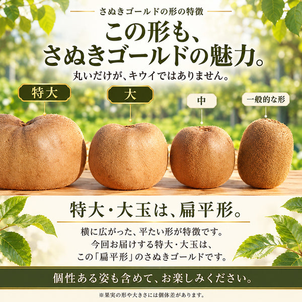 香川県産「さぬきゴールドキウイ」