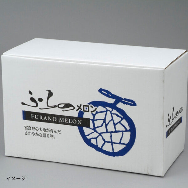 「富良野メロン」