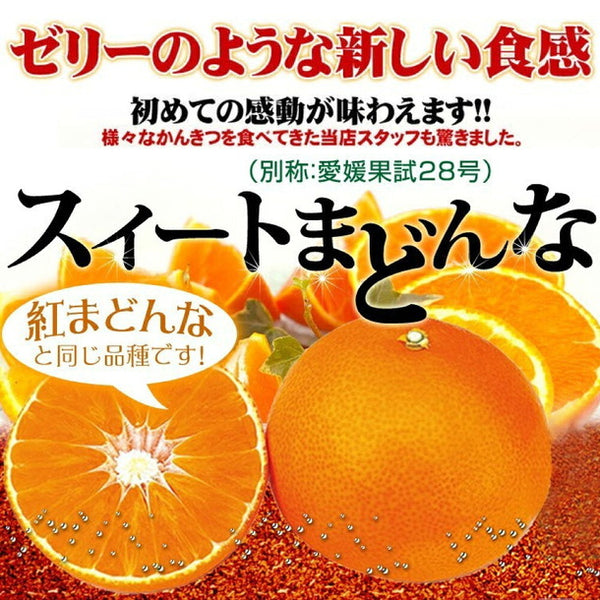 愛媛県産「外なり訳あり スイートまどんな」
