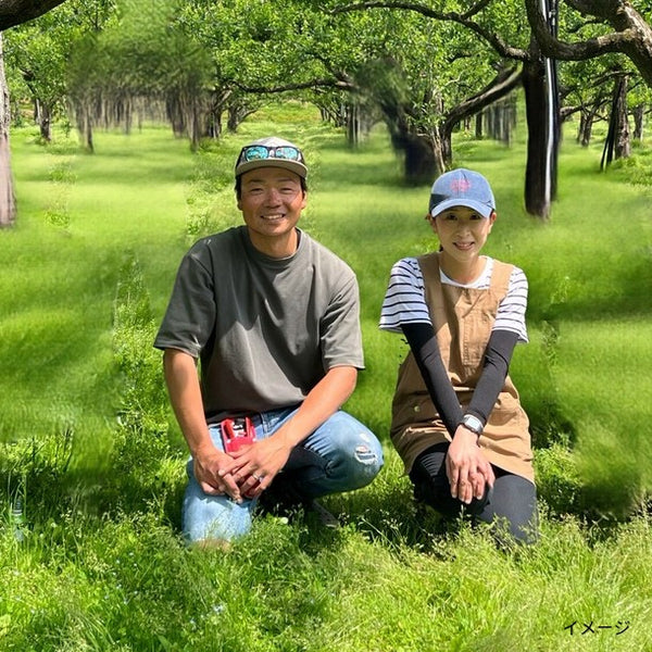 山形県産「ラ・フランス 訳ありご家庭用」