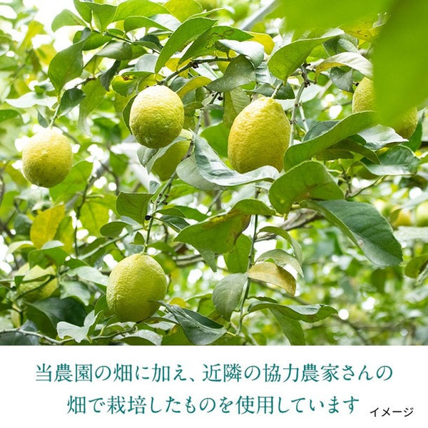 「レモン果汁」