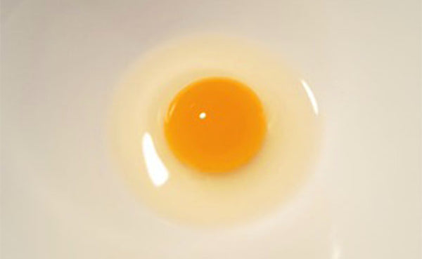 静岡県産「命のカプセル うずらの卵（から割ハサミ付き）」