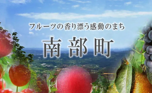 青森県産「トキ（黄色系）」約3kg（13玉前後）