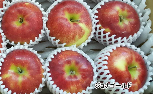青森県産「サンジョナゴールド」