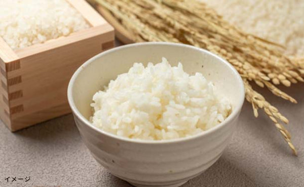 「北海道産 ゆめぴりか」