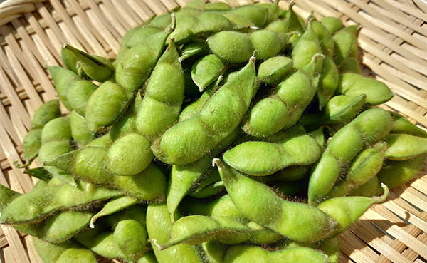 山形県産「鶴岡特産だだちゃ豆」