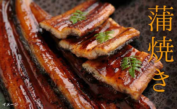 魚魚一「浜名湖うなぎの詰め合わせ（松）」