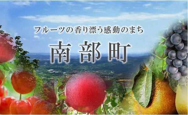 四戸農園 青森県産「特選葉とらずサンふじ」3kg（10玉前後）