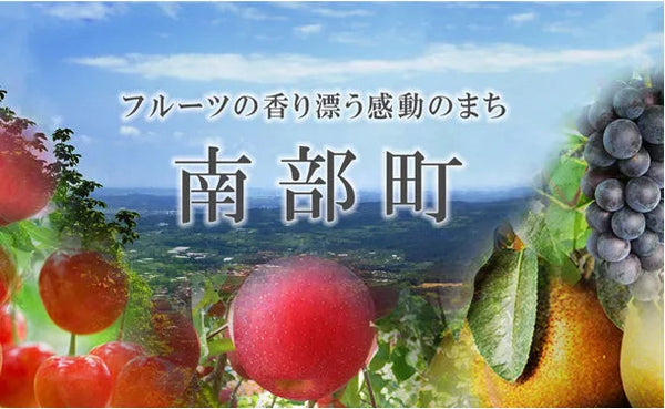 四戸農園 青森県産「特選葉とらずサンふじ」5kg（15玉前後）